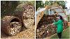 Ideas For Storing Firewood Outside The House 80 Examples For Inspiration